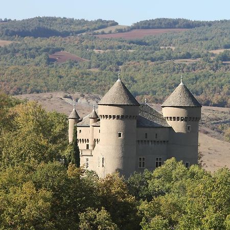 Chateau De Lugagnac Riviere-sur-Tarn Ngoại thất bức ảnh