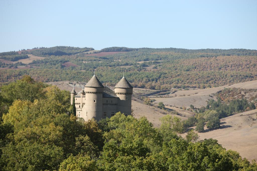 Chateau De Lugagnac Riviere-sur-Tarn Ngoại thất bức ảnh